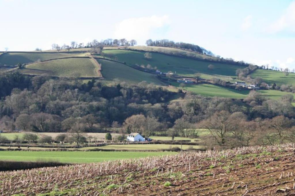 Rural Devon Retreat In Stunning Exe Valley. Exeter Zewnętrze zdjęcie